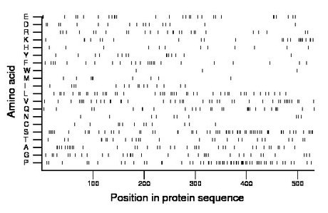 amino acid map