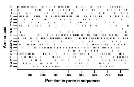 amino acid map