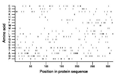 amino acid map