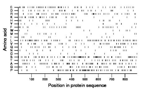 amino acid map