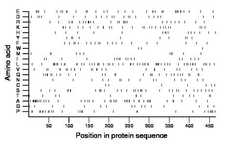 amino acid map