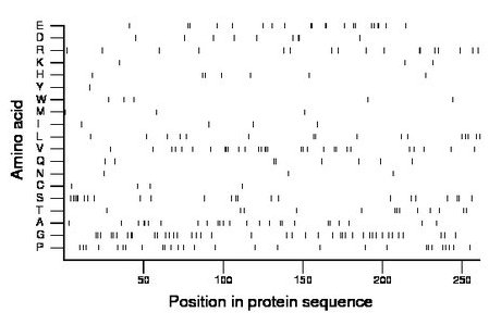 amino acid map