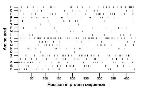 amino acid map