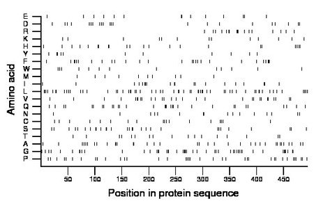 amino acid map