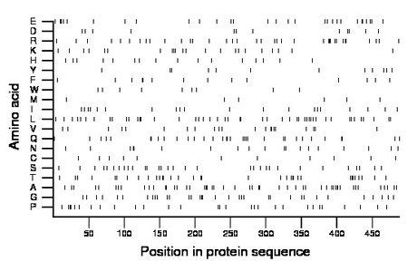 amino acid map