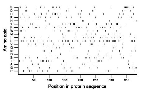 amino acid map