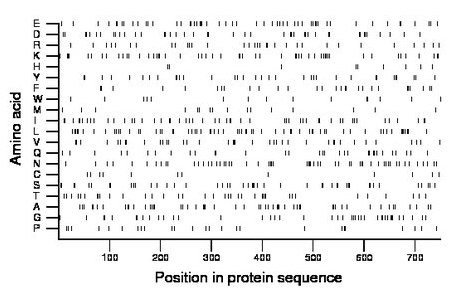 amino acid map