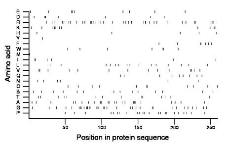 amino acid map