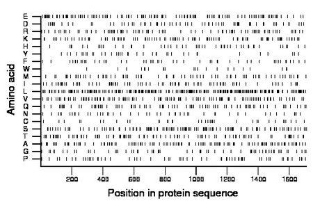 amino acid map