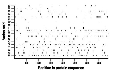 amino acid map