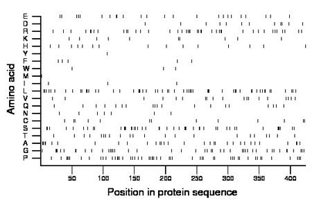 amino acid map