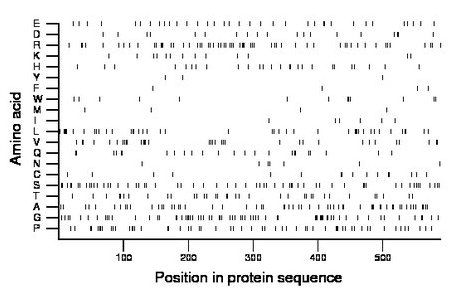 amino acid map