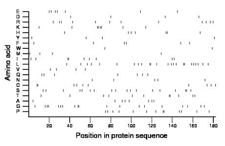 amino acid map