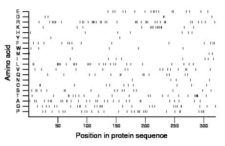 amino acid map