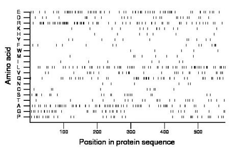 amino acid map