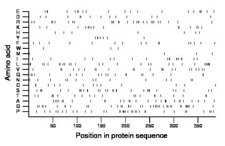 amino acid map