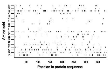 amino acid map