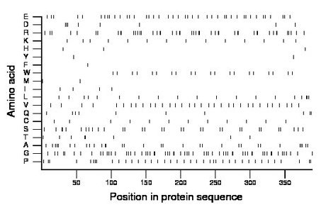 amino acid map