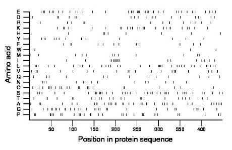 amino acid map