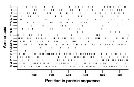 amino acid map