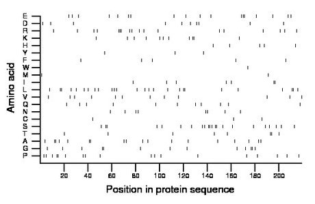 amino acid map