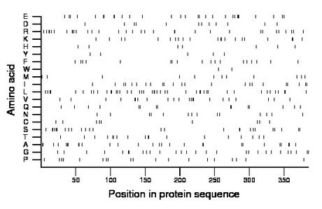 amino acid map