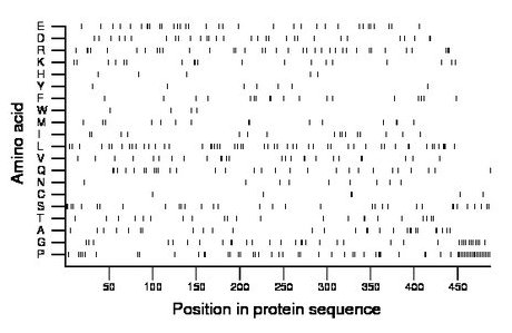 amino acid map