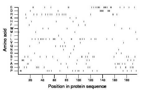 amino acid map