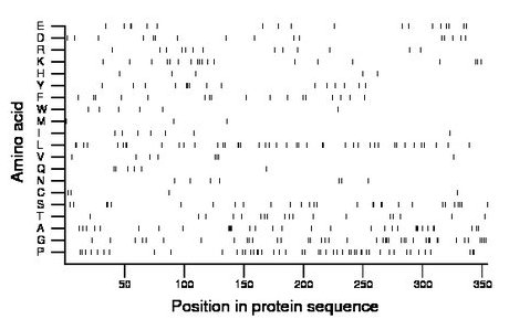 amino acid map