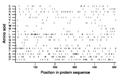 amino acid map