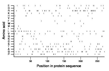 amino acid map