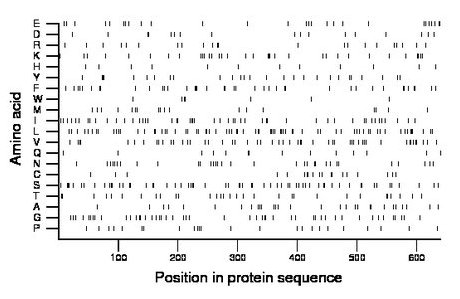 amino acid map