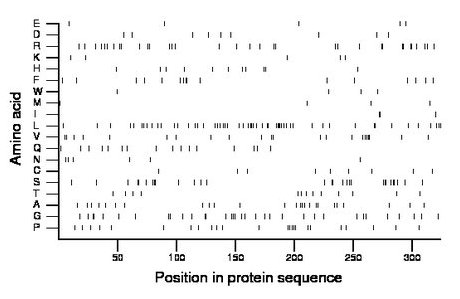 amino acid map