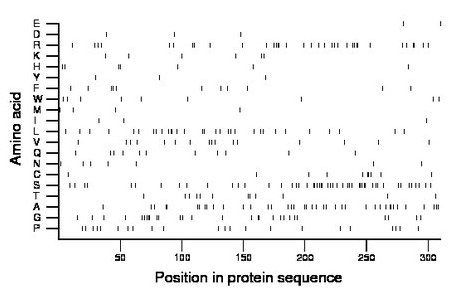 amino acid map