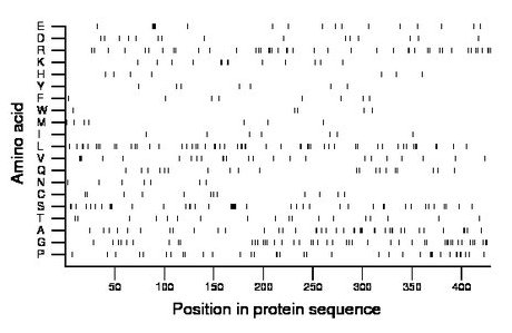 amino acid map