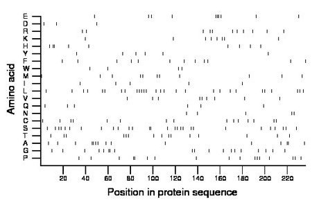 amino acid map