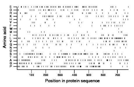 amino acid map