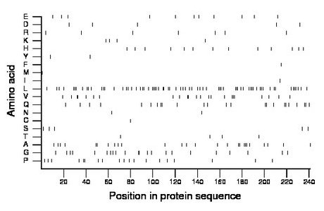 amino acid map