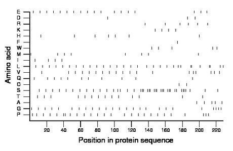 amino acid map