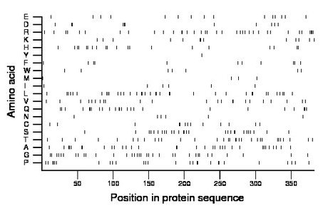 amino acid map