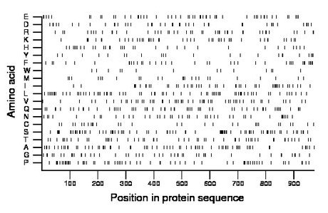 amino acid map