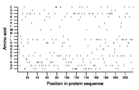 amino acid map