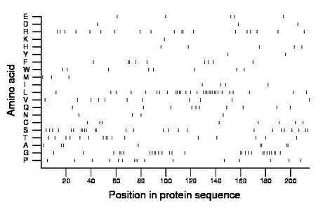 amino acid map