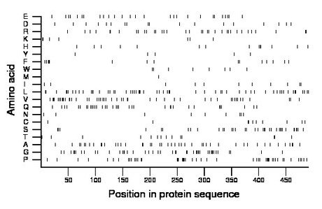 amino acid map