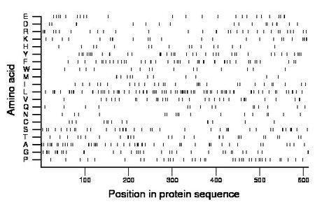 amino acid map