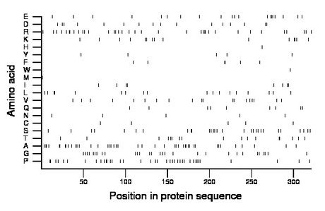 amino acid map