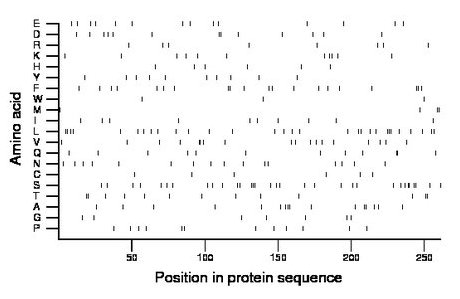 amino acid map