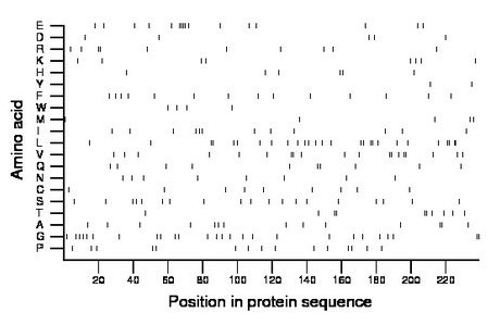 amino acid map