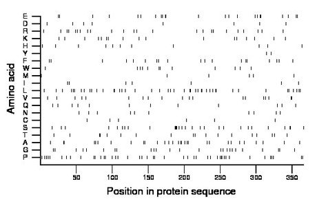 amino acid map