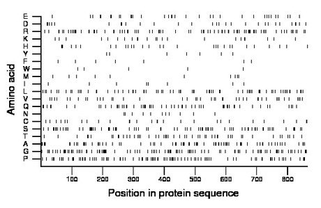 amino acid map